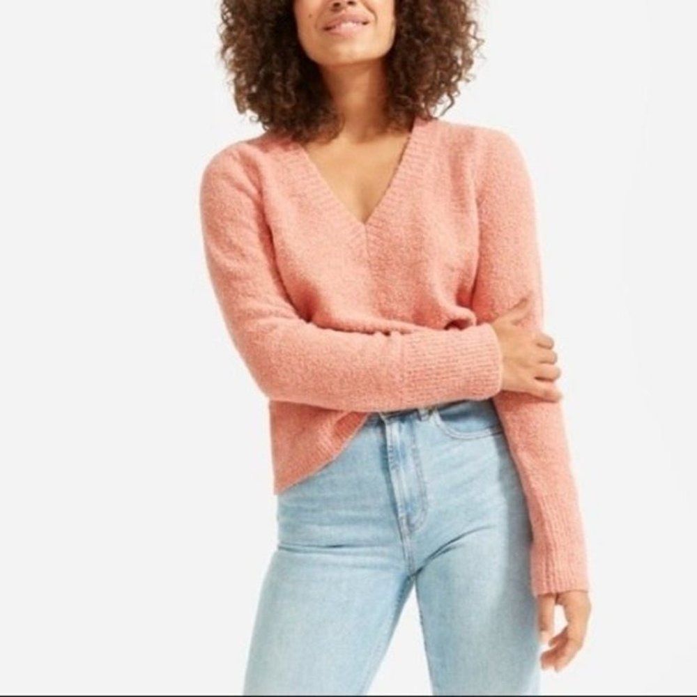 Everlane The Teddy V Neck Wool Blend Sweater Coral XS